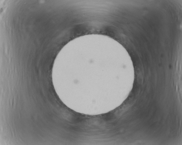 X0000060770769200512082032