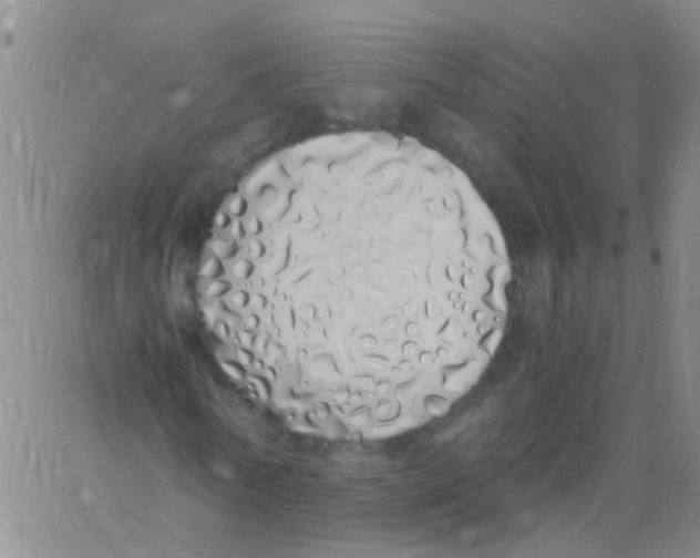 X0000060770770200512082032