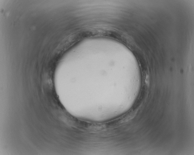 X0000060770771200512082032