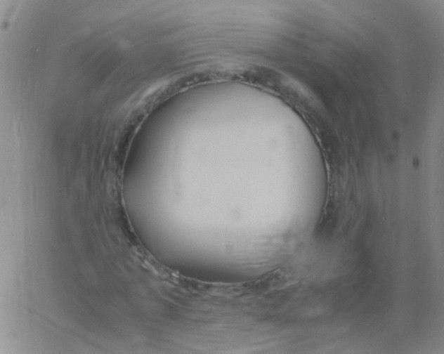 X0000060770773200512082032