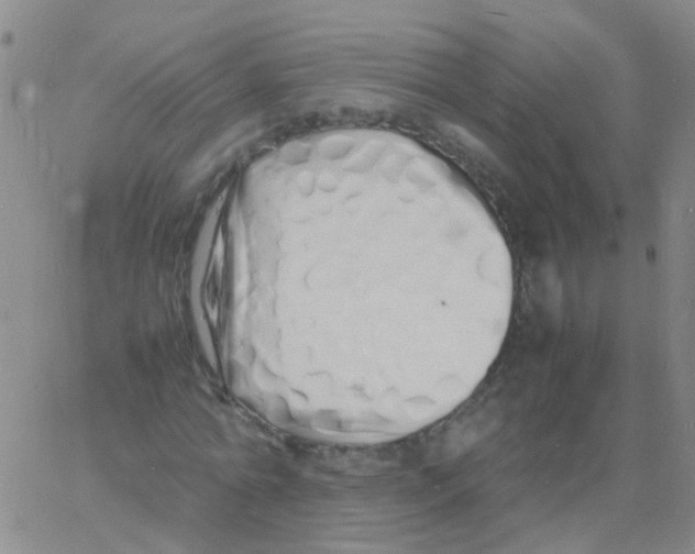 X0000060770774200512082032