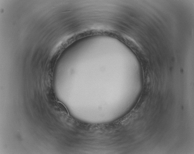 X0000060770776200512082032