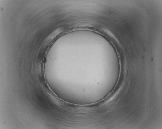 X0000060770777200512082032