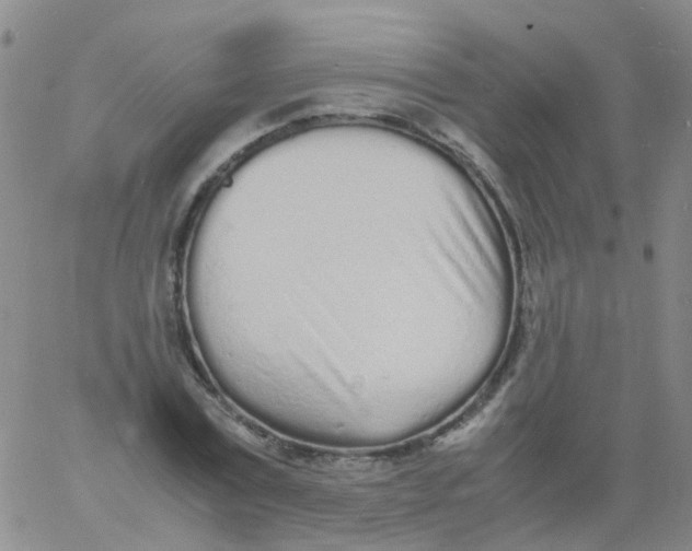 X0000060770779200512082032