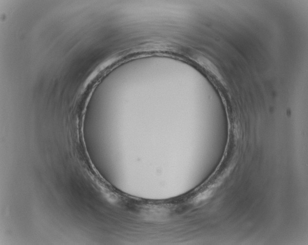 X0000060770781200512082032