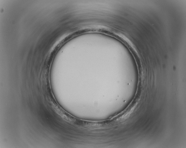 X0000060770783200512082032