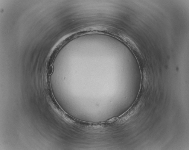 X0000060770784200512082032