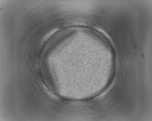 X0000060770785200512082032