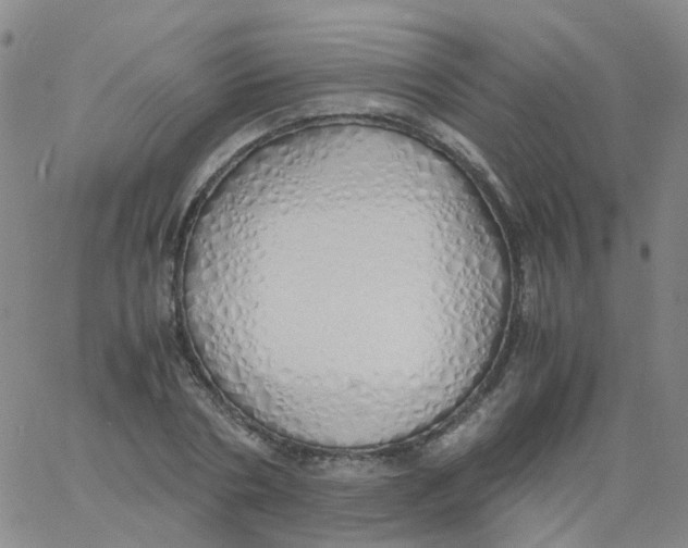 X0000060770786200512082032