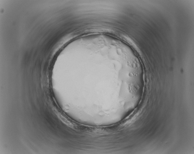 X0000060770787200512082032