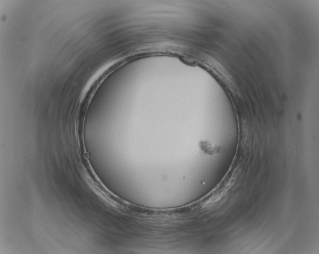 X0000060770788200512082032