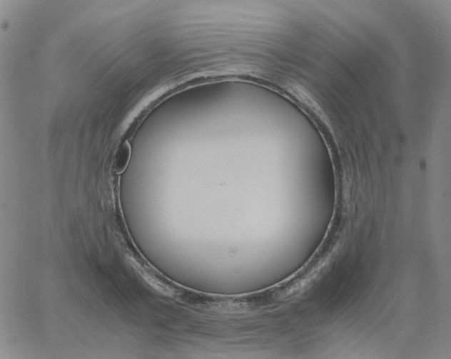 X0000060770789200512082032