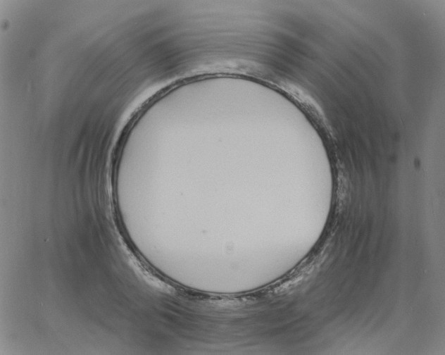 X0000060770792200512082032