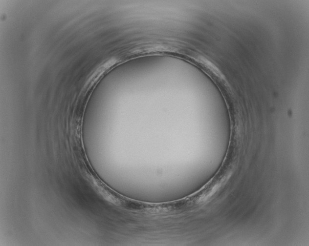 X0000060770793200512082032