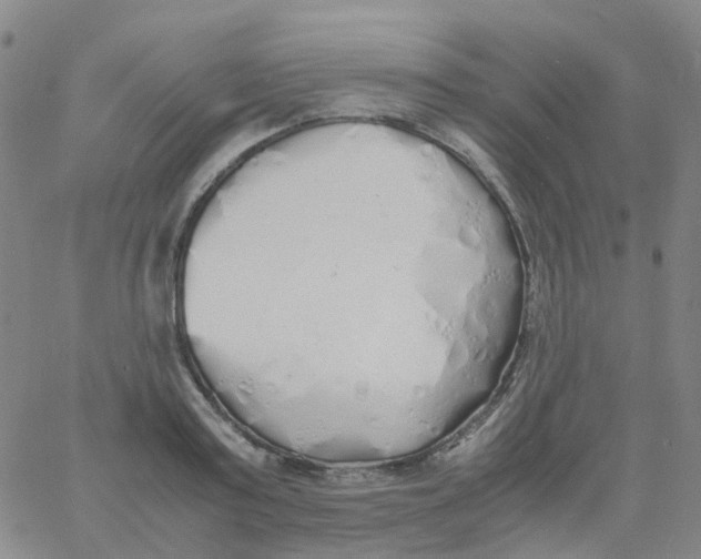 X0000060770795200512082032