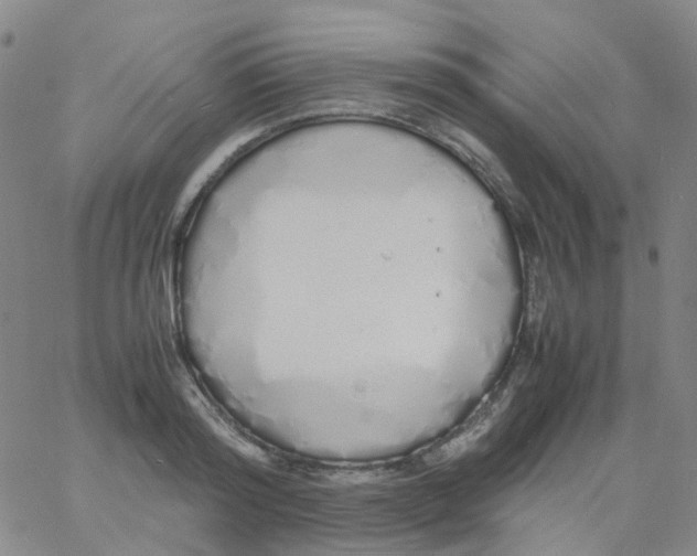 X0000060770796200512082032