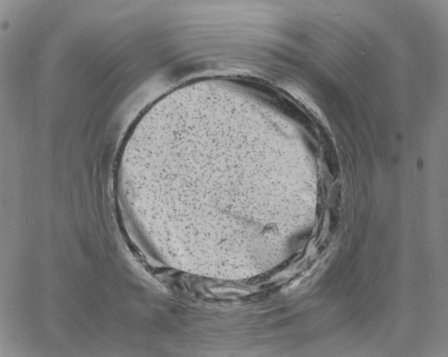 X0000060770797200512082032