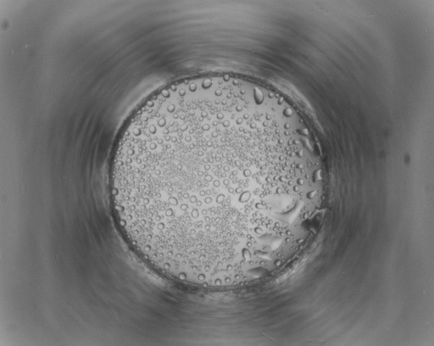 X0000060770798200512082032