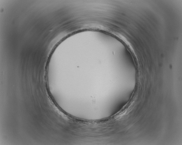 X0000060770799200512082032