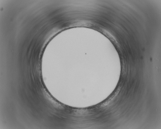 X0000060770800200512082032