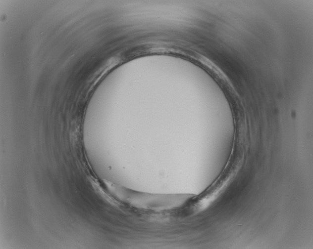 X0000060770801200512082032