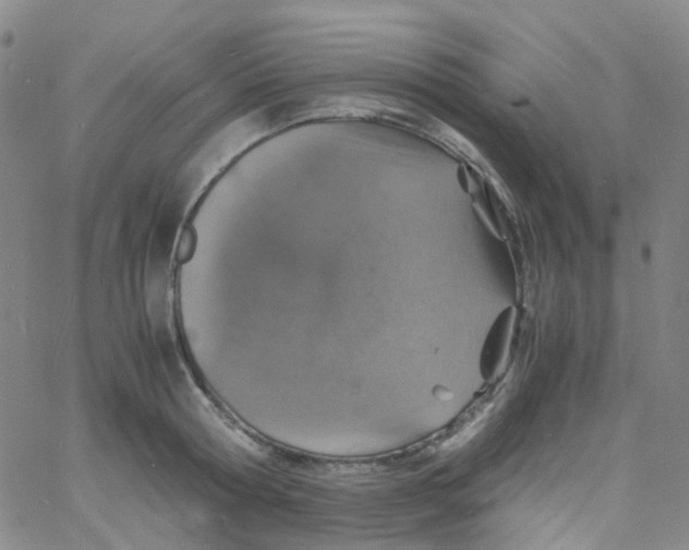 X0000060770802200512082032