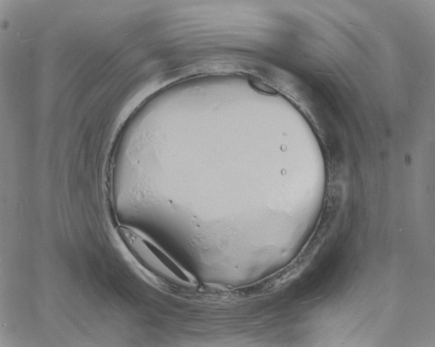 X0000060770803200512082032