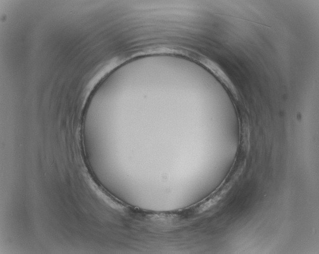 X0000060770805200512082032