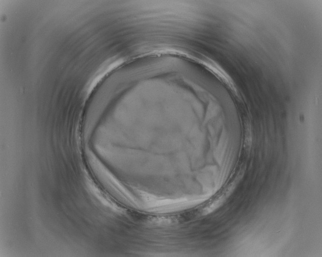 X0000060770806200512082032