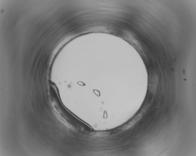 X0000060770808200512082032