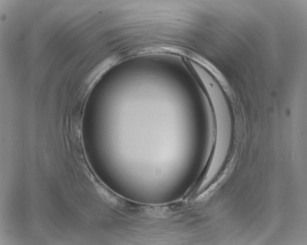 X0000060770809200512082032