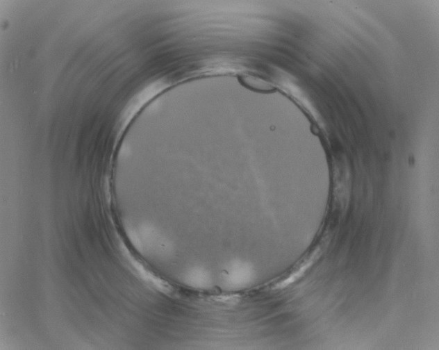 X0000060770810200512082032