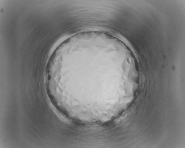 X0000060770811200512082032