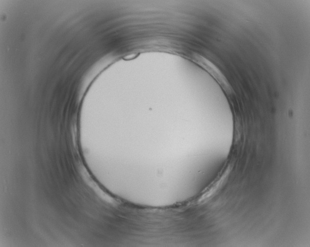 X0000060770812200512082032