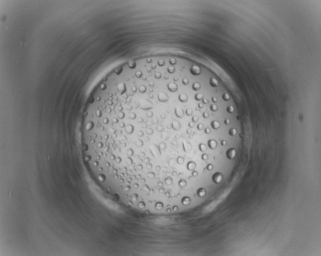 X0000060770814200512082032