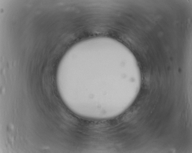 X0000060770817200512082031