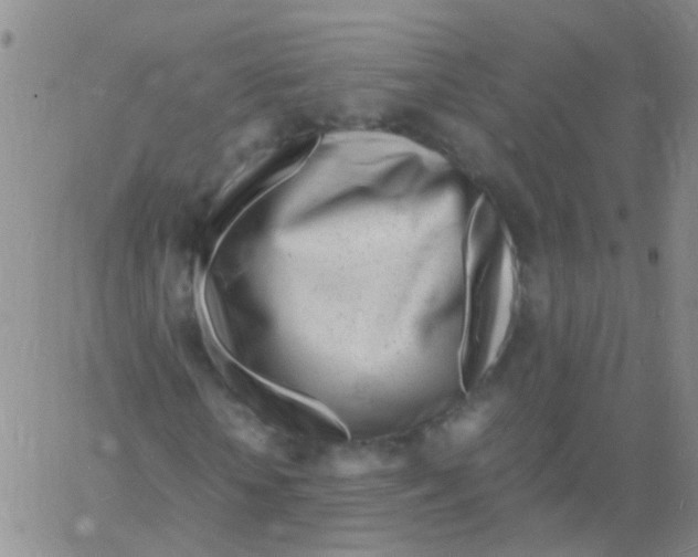 X0000060770818200512082031