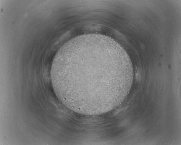 X0000060770819200512082031