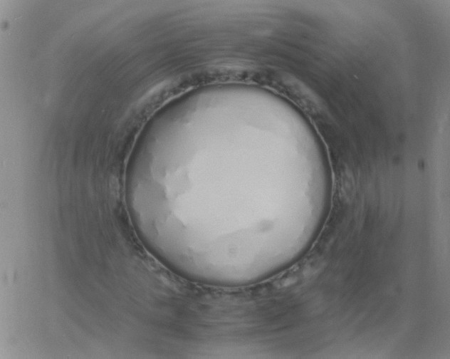 X0000060770821200512082031