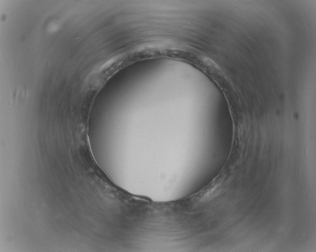 X0000060770822200512082031