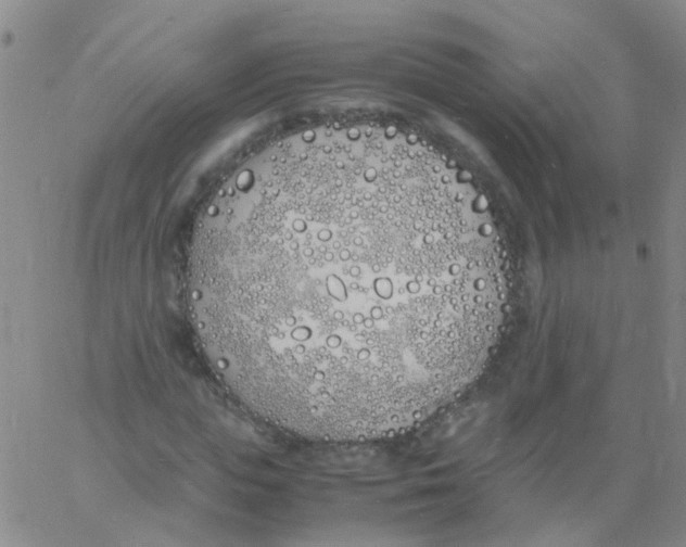 X0000060770823200512082031