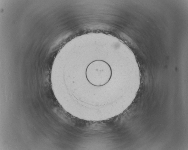 X0000060770824200512082031