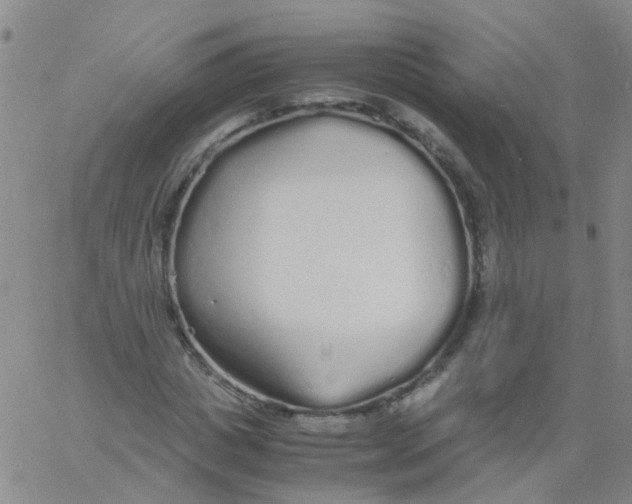 X0000060770825200512082031