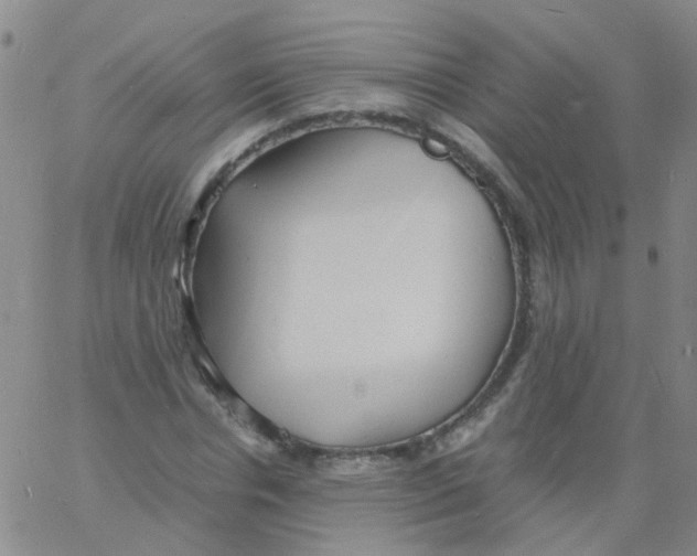 X0000060770826200512082031