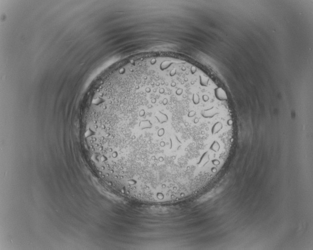 X0000060770827200512082031