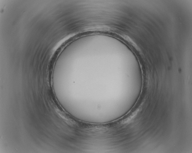 X0000060770830200512082031