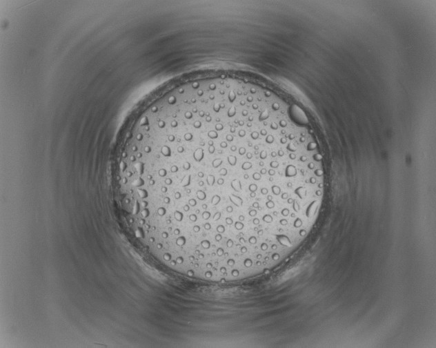 X0000060770831200512082031