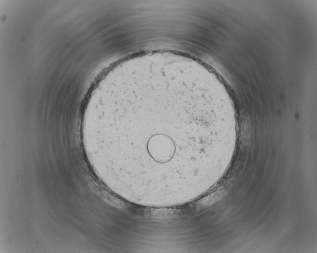 X0000060770832200512082031