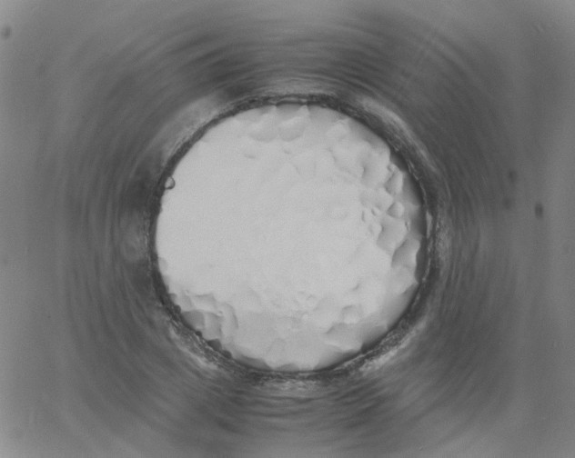 X0000060770833200512082031