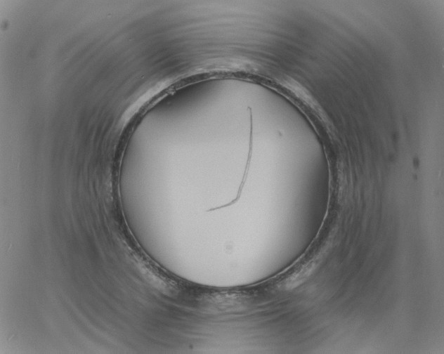 X0000060770834200512082031